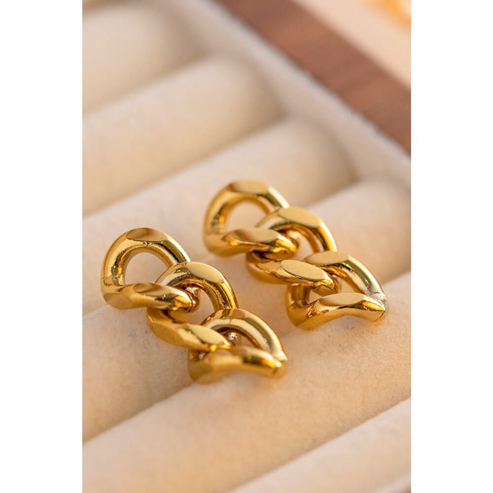 Stainless Steel Chain Earrings - Picture 4 of 5